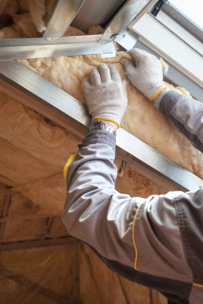 Best Geographic-Specific Insulation Services in Skiato, OK
